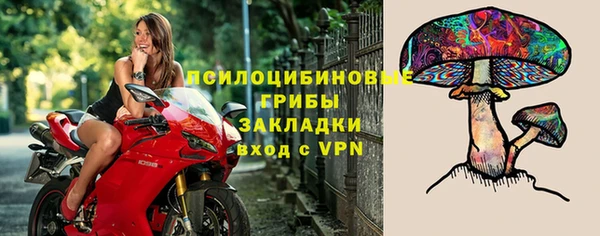 молекула духа Видное