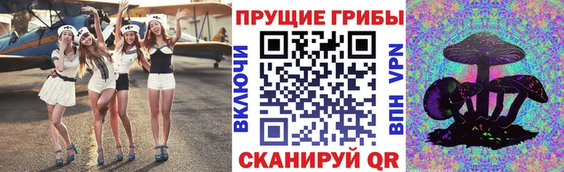 Галлюциногенные грибы Magic Shrooms Адыгейск