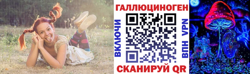 купить закладку Адыгейск Псилоцибиновые грибы прущие грибы